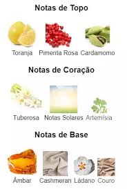 Pirâmide Olfativa (Nosso Produto)